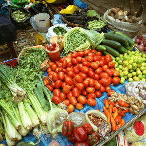 Andes Travel Cusco - Viajes a Sudamérica, Perú y Cusco Machu Picchu