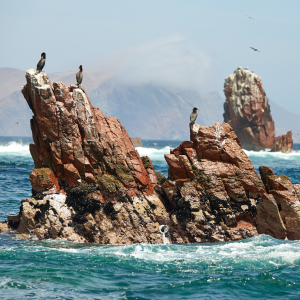 Andes Travel Cusco - Viajes a Sudamérica, Perú y Cusco Machu Picchu