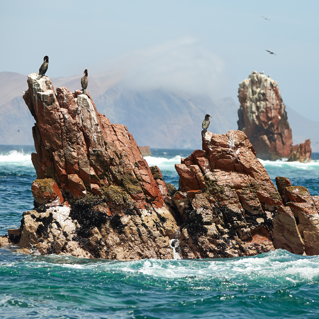 Andes Travel Cusco - Viajes a Sudamérica, Perú y Cusco Machu Picchu